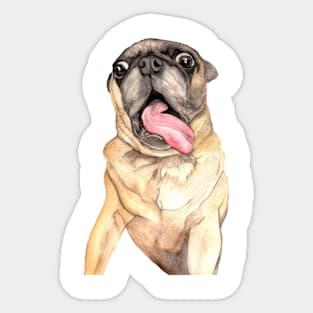 Furever Art✫*¨*.¸¸.✶*¨ PUGGO✫*¨*.¸¸.✶*¨ SHHHHHHLLLurrrrrrrrP!!!! Sticker